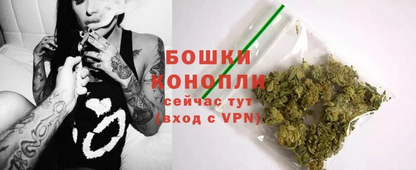 гашик Нефтекумск