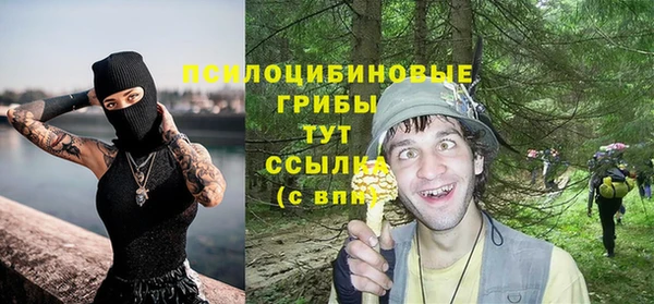 гашик Нефтекумск