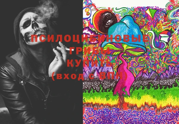 гашик Нефтекумск