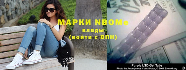 гашик Нефтекумск