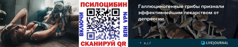 купить  сайты  Козьмодемьянск  мега   Псилоцибиновые грибы Psilocybe 